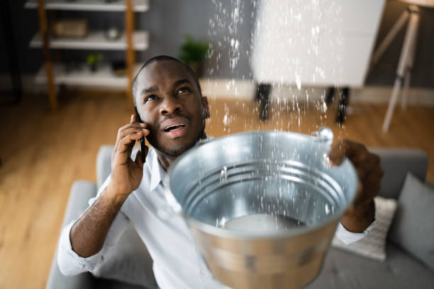 Best Flood restoration services  in Waterloo, WI