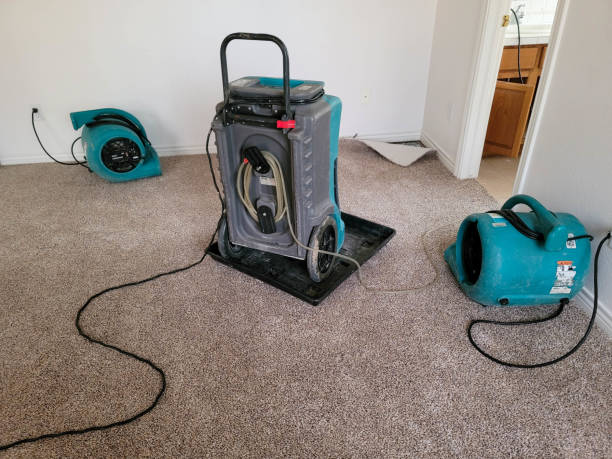 Best Flood damage cleanup  in Waterloo, WI