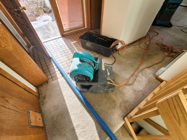 Best Water damage restoration near me  in Waterloo, WI