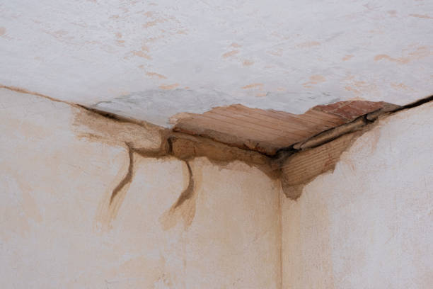Best Emergency water damage restoration  in Waterloo, WI