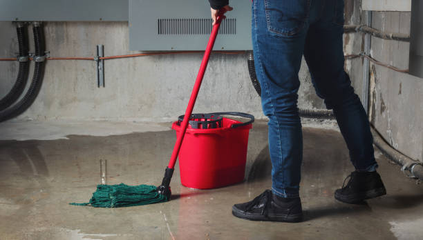 Best Water damage restoration specialists  in Waterloo, WI