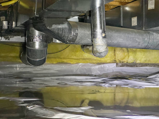 Best Water damage restoration process  in Waterloo, WI