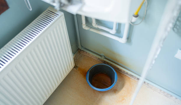 Best Residential water damage restoration  in Waterloo, WI