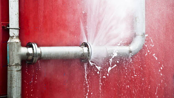 Best Ceiling water damage repair  in Waterloo, WI